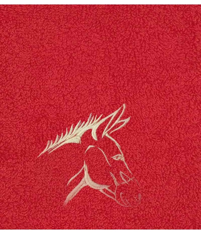 Drap de Bain Ane Personnalisé 70X140