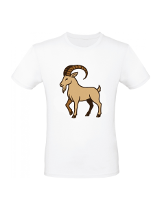 Tee Shirt Capricorne