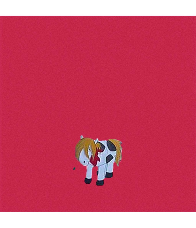 Cadeau naissance: maxi cape et bavoir...