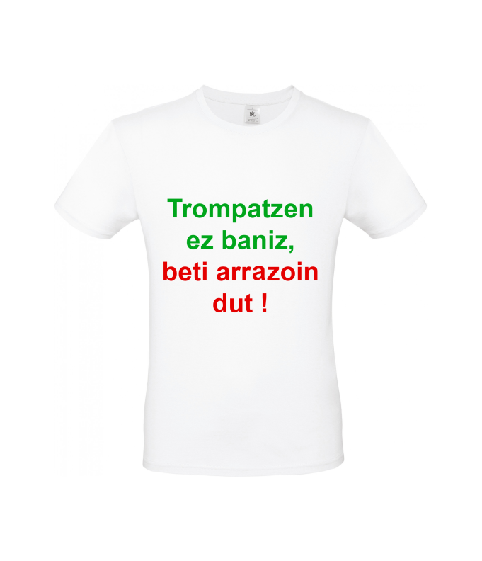 Tee Shirt  tronpatzen